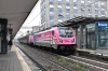 DSC_0047-1~5.jpg