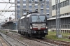 DSC_0048-1~1.jpg