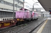 DSC_0049-1~1.jpg