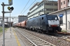 DSC_0052-1.jpg