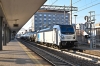 DSC_0052-1~1.jpg