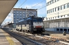 DSC_0064-1~1.jpg