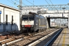 DSC_0066-1.jpg