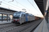 DSC_0075-1~1.jpg