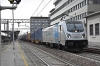 DSC_0077-1~0.jpg