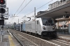 DSC_0081-1~2.jpg