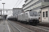 DSC_0086-1~2.jpg