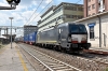 DSC_0101-1.jpg