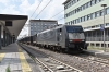 DSC_0102-1.jpg