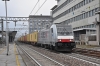 DSC_0105-1.jpg