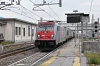DSC_0117-1.jpg