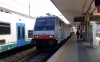 E183_283_Treviso.jpg