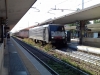 E189_101_Treviso~0.jpg