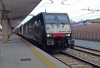 E189_406_Treviso.jpg