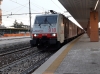 E189_918_Treviso.jpg