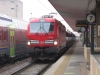 E191_018_treviso.jpg