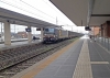 E191_030_Rovigo.jpg