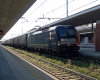 E191_036_Treviso~0.jpg