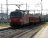 E193_044_Treviso.jpg