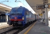 E193_527_Milano-Lamb.jpg
