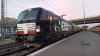 E193_645_Treviso.jpg
