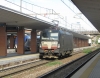 E193_665_Treviso~0.jpg