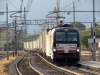E193_667_Treviso.jpg