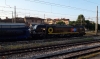 E193_672_treviso.jpg