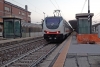 E402_166_treviso.jpg