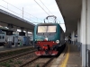 E464_009_Milano-Lamb.jpg