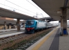 E464_250_Treviso.jpg