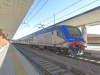 E464_267_Treviso.jpg