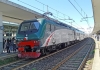 E464_288_Milano-Lamb.jpg