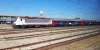 E464_360_Surbo.jpg