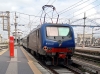 E464_427_Milano.jpg