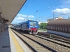 E464_703_Treviso.jpg