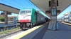 E483_006_Treviso.jpg