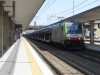 E483_312_treviso.jpg