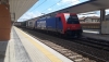 E484_007_treviso.jpg