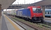 E484_013_Treviso.jpg