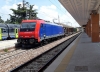 E484_015_Treviso.jpg