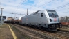 E494_530_Milano-Lamb.jpg