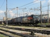 E494_592_Treviso-28229.jpg