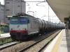 E633_228_Treviso.jpg