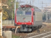 E652_166_Treviso.jpg