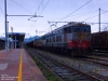 E655-510_a_Cuneo.jpg