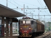 E655_301_Treviso.jpg