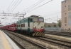 E656_469_Treviso.jpg