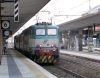 E656_576_Treviso.jpg