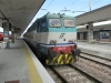 E656_576_Treviso~0.jpg